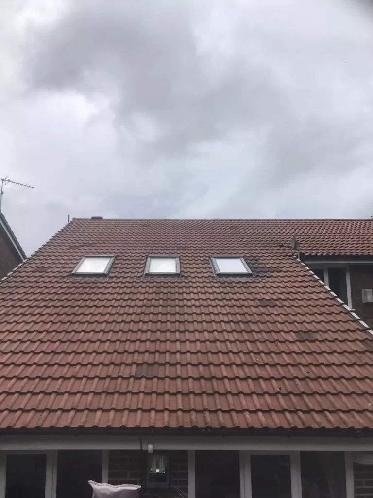 roof cleaning specialist