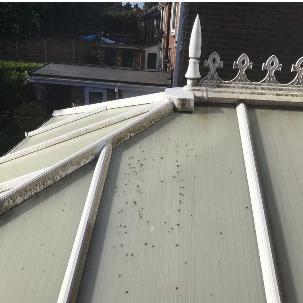 Removal of mold and mildew from inside conservatory windows and seals