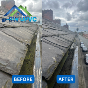 Protect Your Home with Professional Gutter Cleaning Services