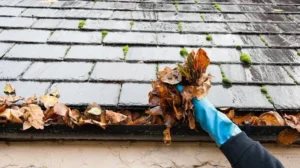 Gutter Cleaning Importance: Why Regular Maintenance Prevents Water Damage