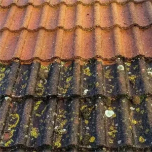 Expert Conservatory Roof Cleaning Service In Manchester