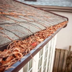 Guttering Around Conservatories | Cleaning & Blockage Prevention